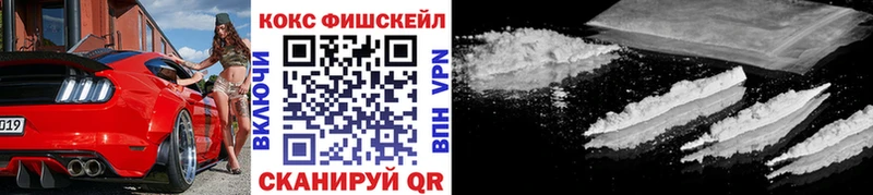 Купить закладки  Камышлов  Cocaine FishScale 
