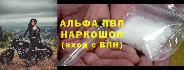 прущие крисы Корсаков