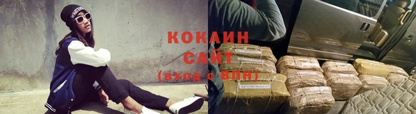 прущие крисы Корсаков