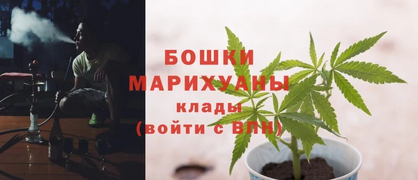 прущие крисы Корсаков