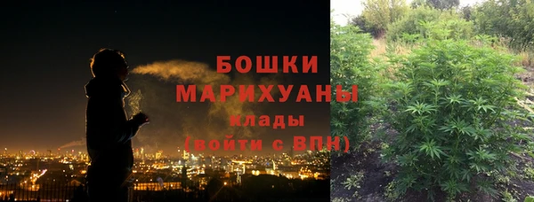 прущие крисы Корсаков