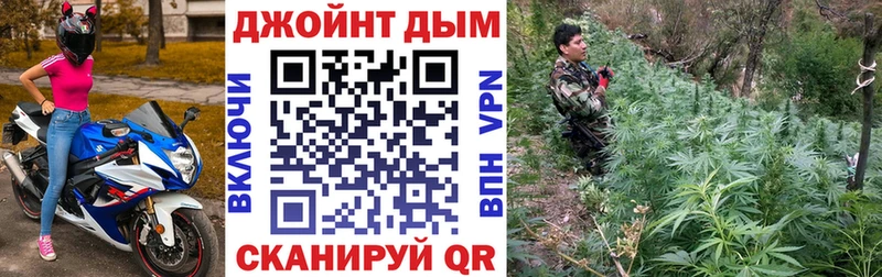 Купить закладки Камышлов Бошки марихуана Bruce Banner